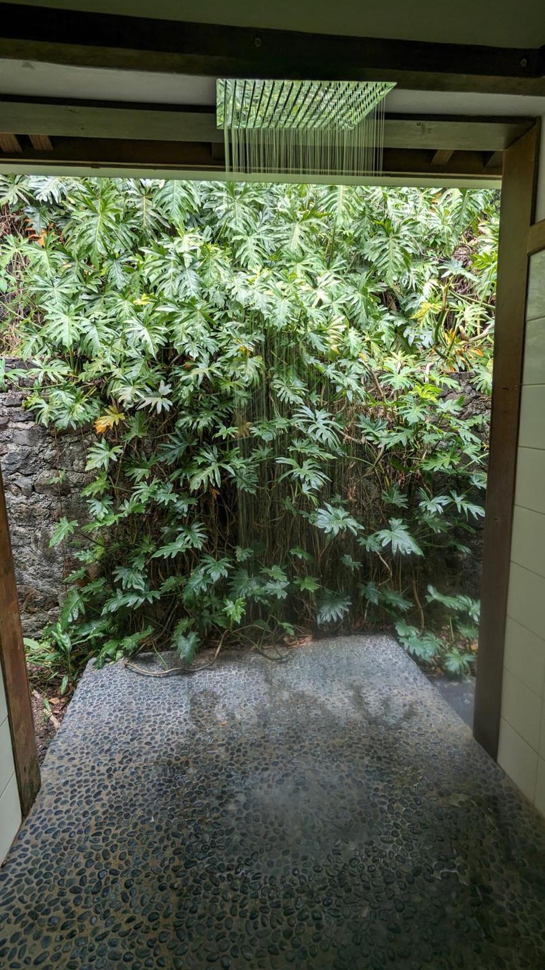 Ecolodges Karet Deshaies Dış mekan fotoğraf