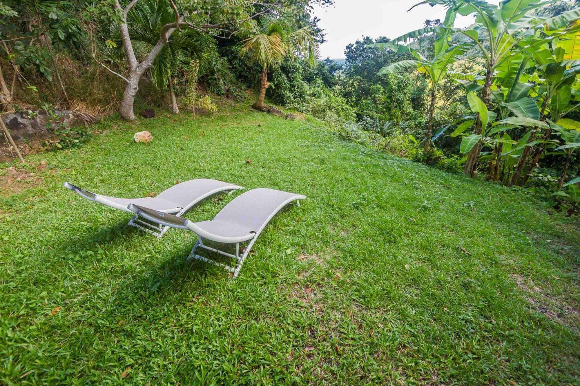 Ecolodges Karet Deshaies Dış mekan fotoğraf